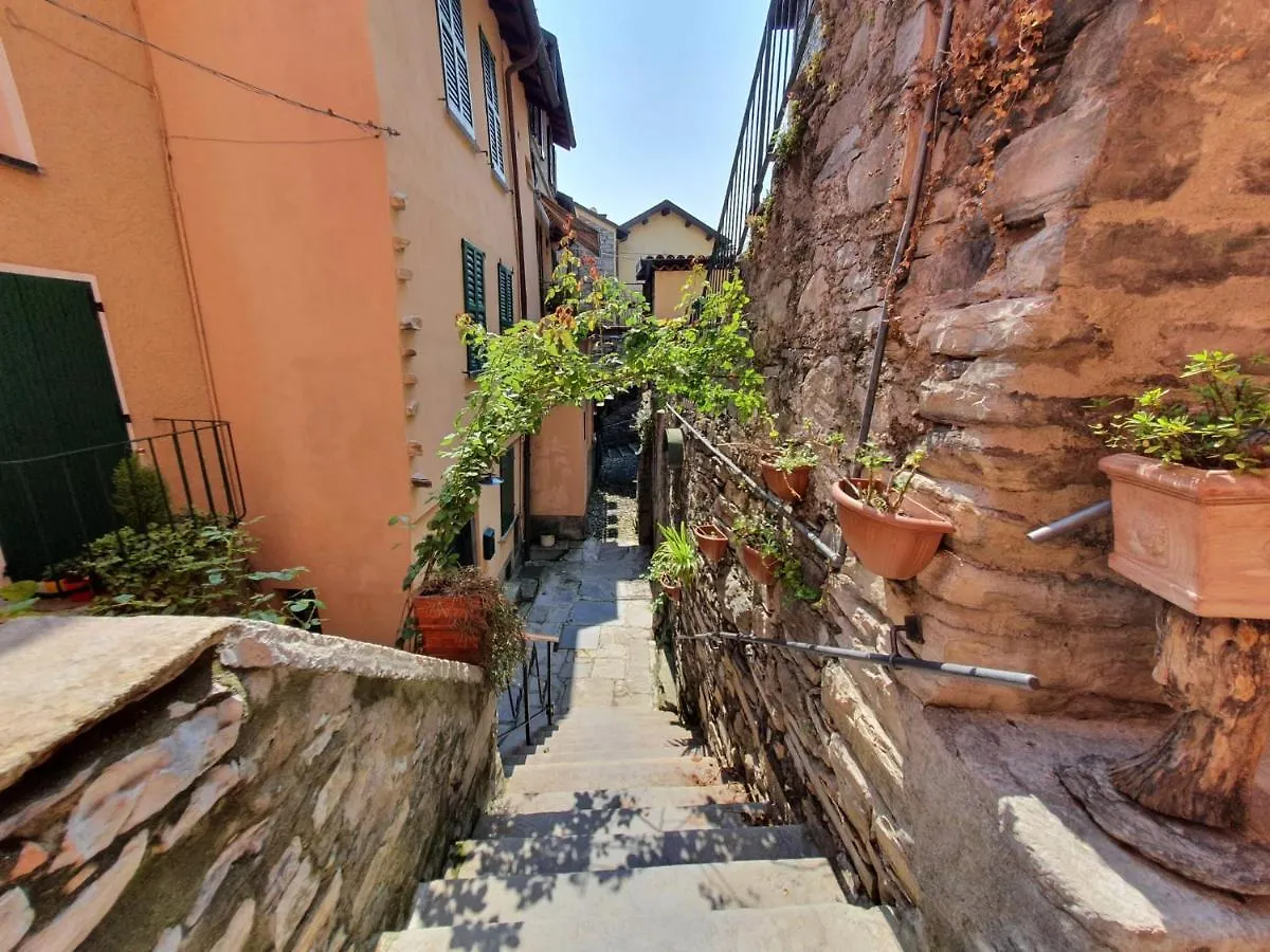 I Scalitt By Quokka 360 - Como Lake Typical House In The Fishing Village Carate Urio Italy